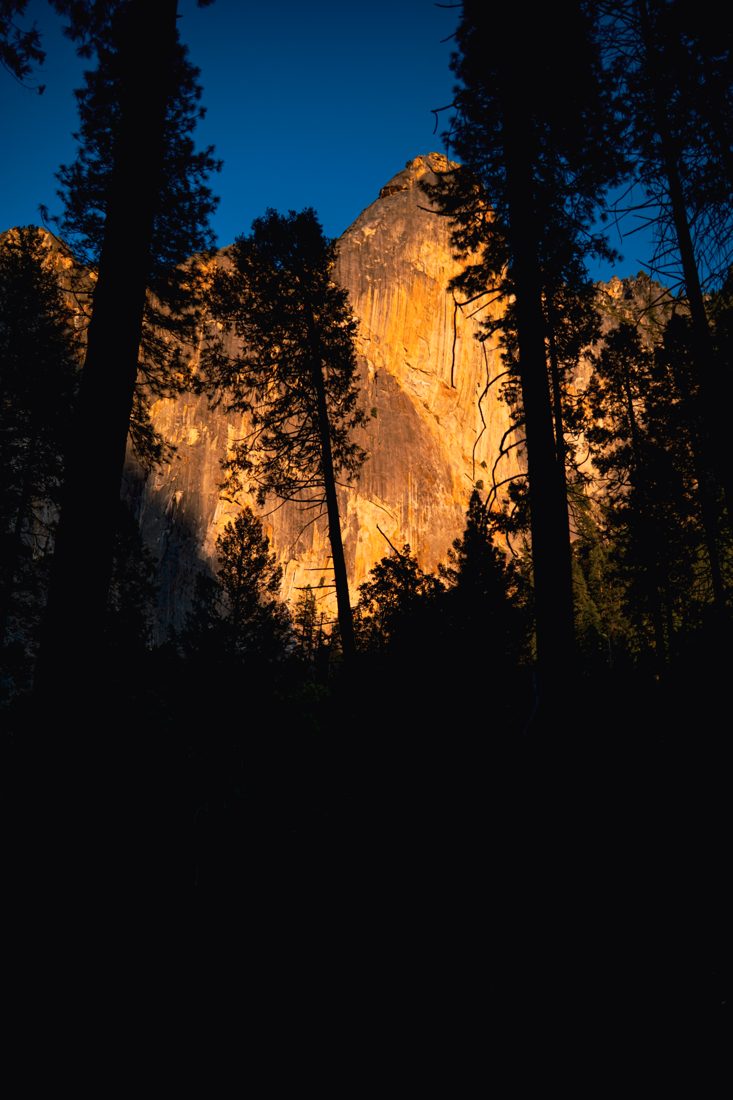 Sunlit granite peak seen through silhouetted pines