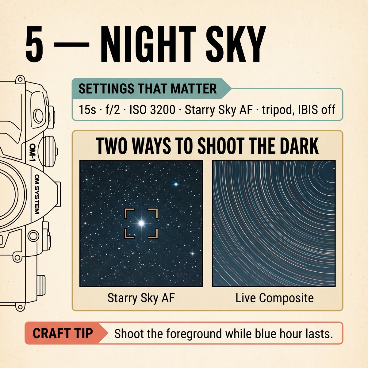 Field card infographic: Night Sky