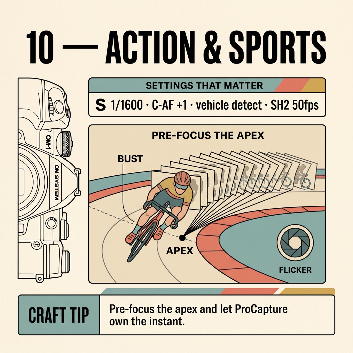 Field card infographic: Action & Sports