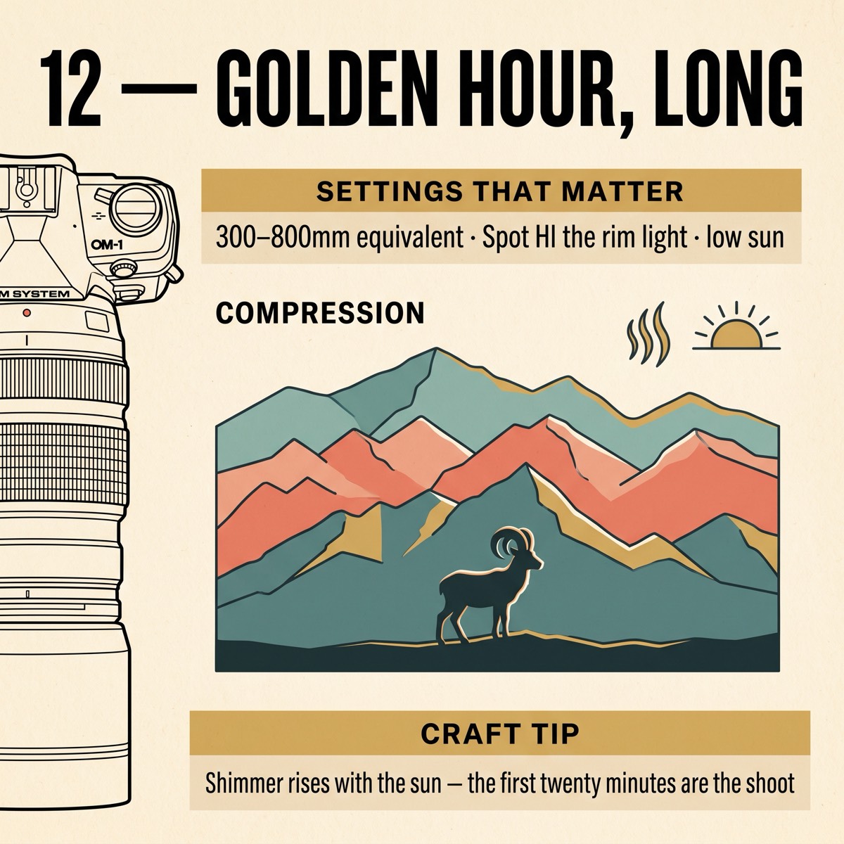 Field card infographic: Golden Hour, Long