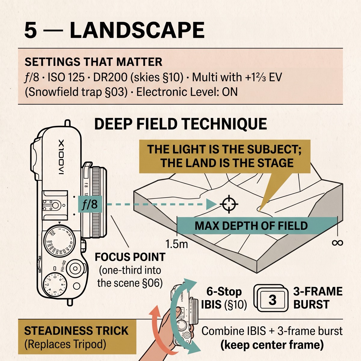 Field card infographic: Landscape