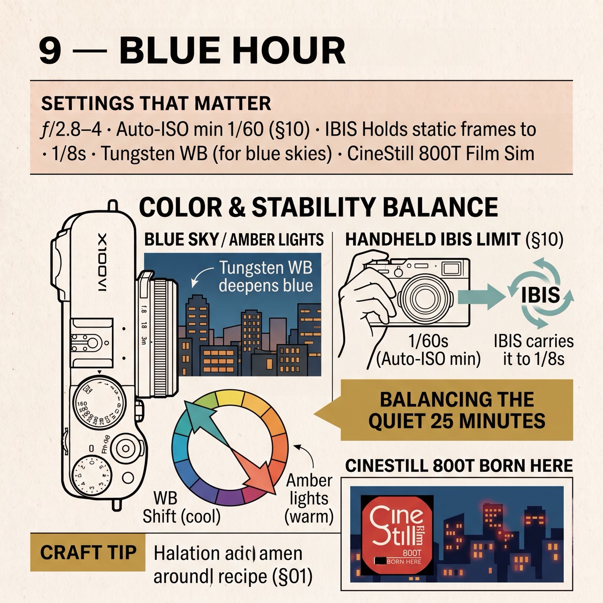 Field card infographic: Blue Hour
