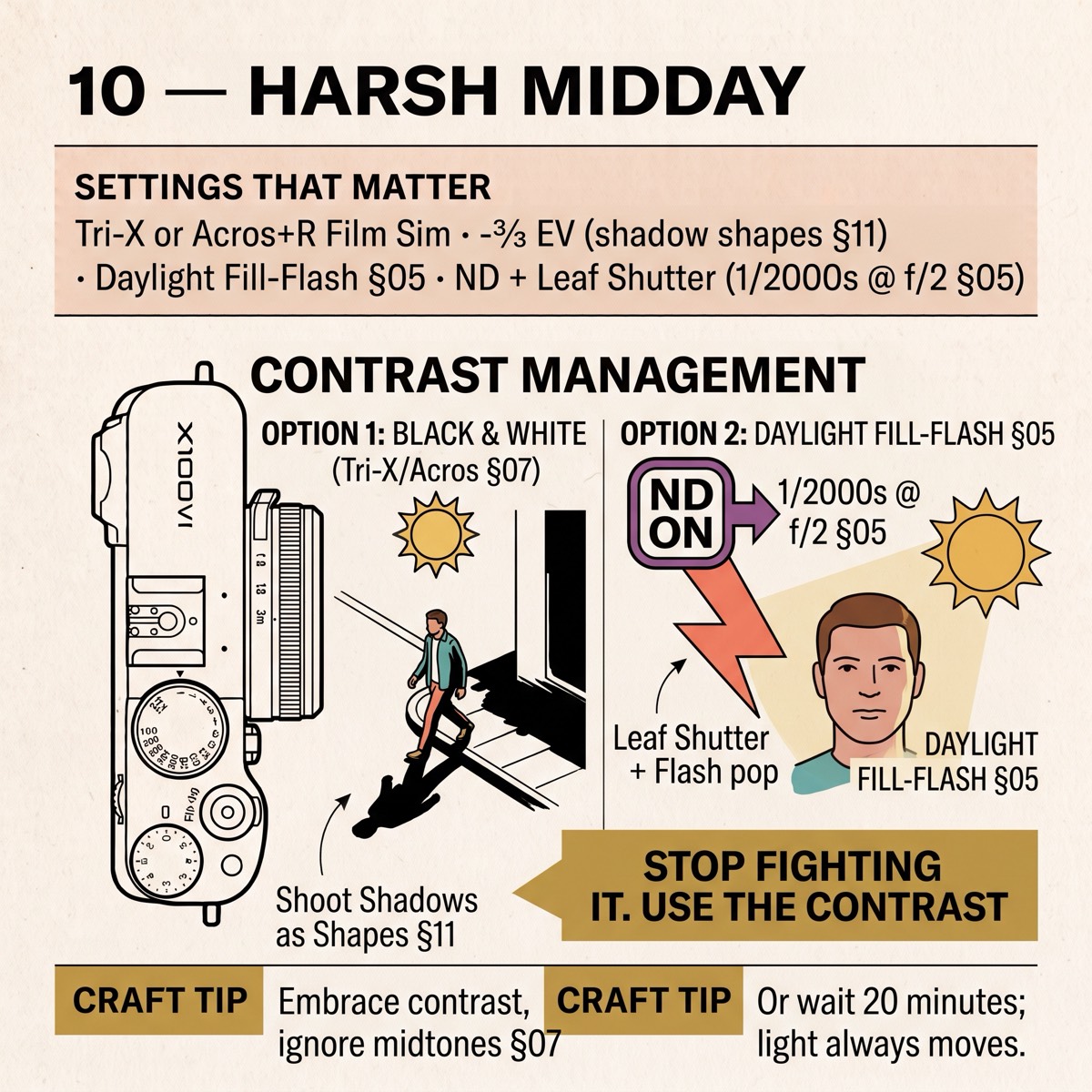 Field card infographic: Harsh Midday
